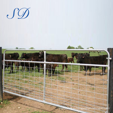 5 бар Rail крупного рогатого скота 1,6 м панель Загородки Скотин ворота